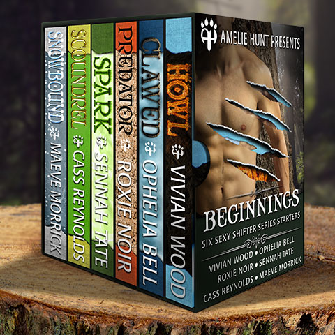 Series Bundle